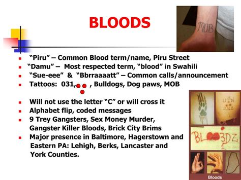 what blood set is ysl|List of Bloods subgroups/sets worldwid.